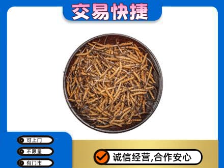 吕梁市柳林高价回收散虫草